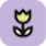 Bloomer