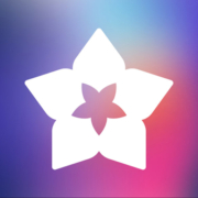 Bloomify