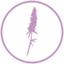 Bloom Technologies