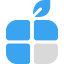 BloxyFruit