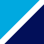 Bluefin Payment Systems