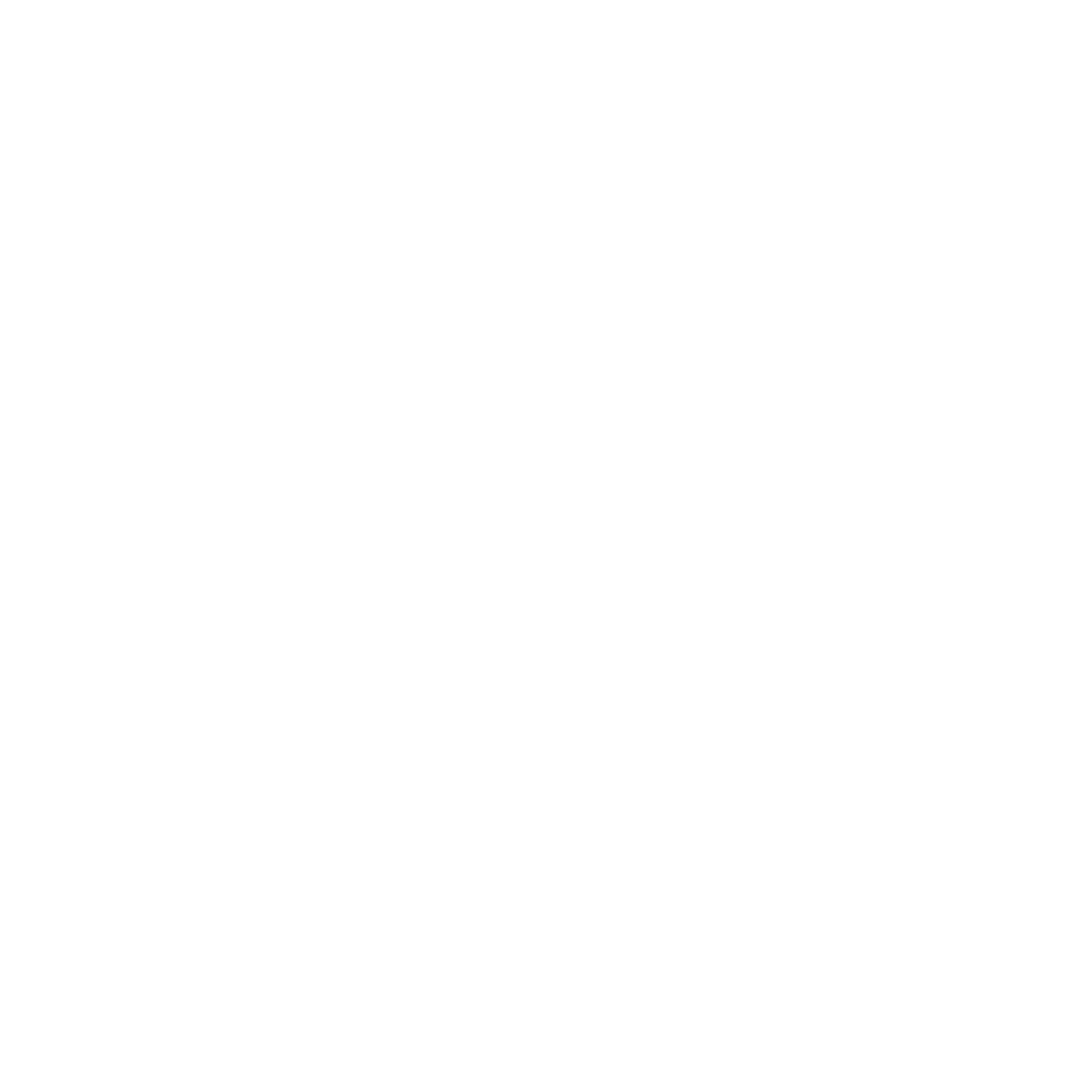 Bluefish AI