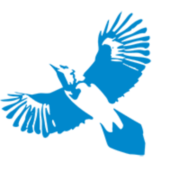 BlueJay