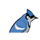 Blue Jay PMS