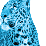 Blue Leopard