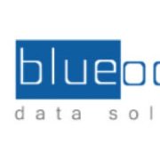 Blue Ocean Data Solutions