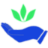 Blueroomcare
