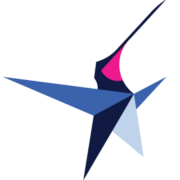 Blue Star Planning
