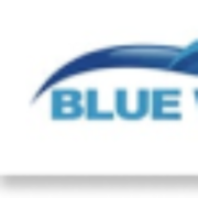 Blue Wave Trading