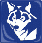BlueWolf Produktion