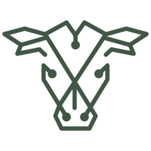 Boalvet AI