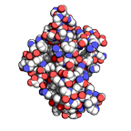 Bonvin Lab