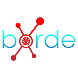 Borde