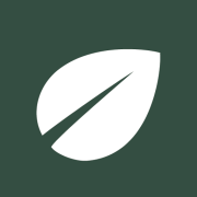 Borevit
