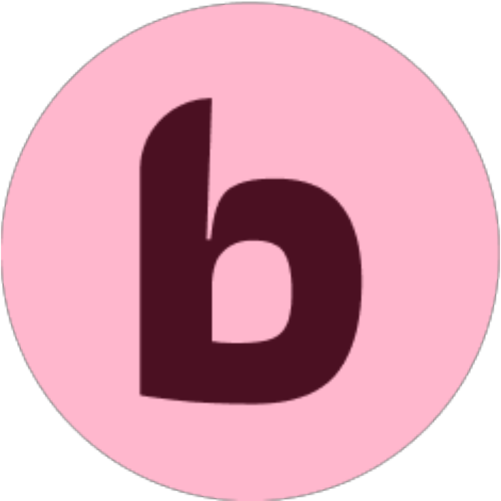 Borgr