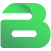 Bota