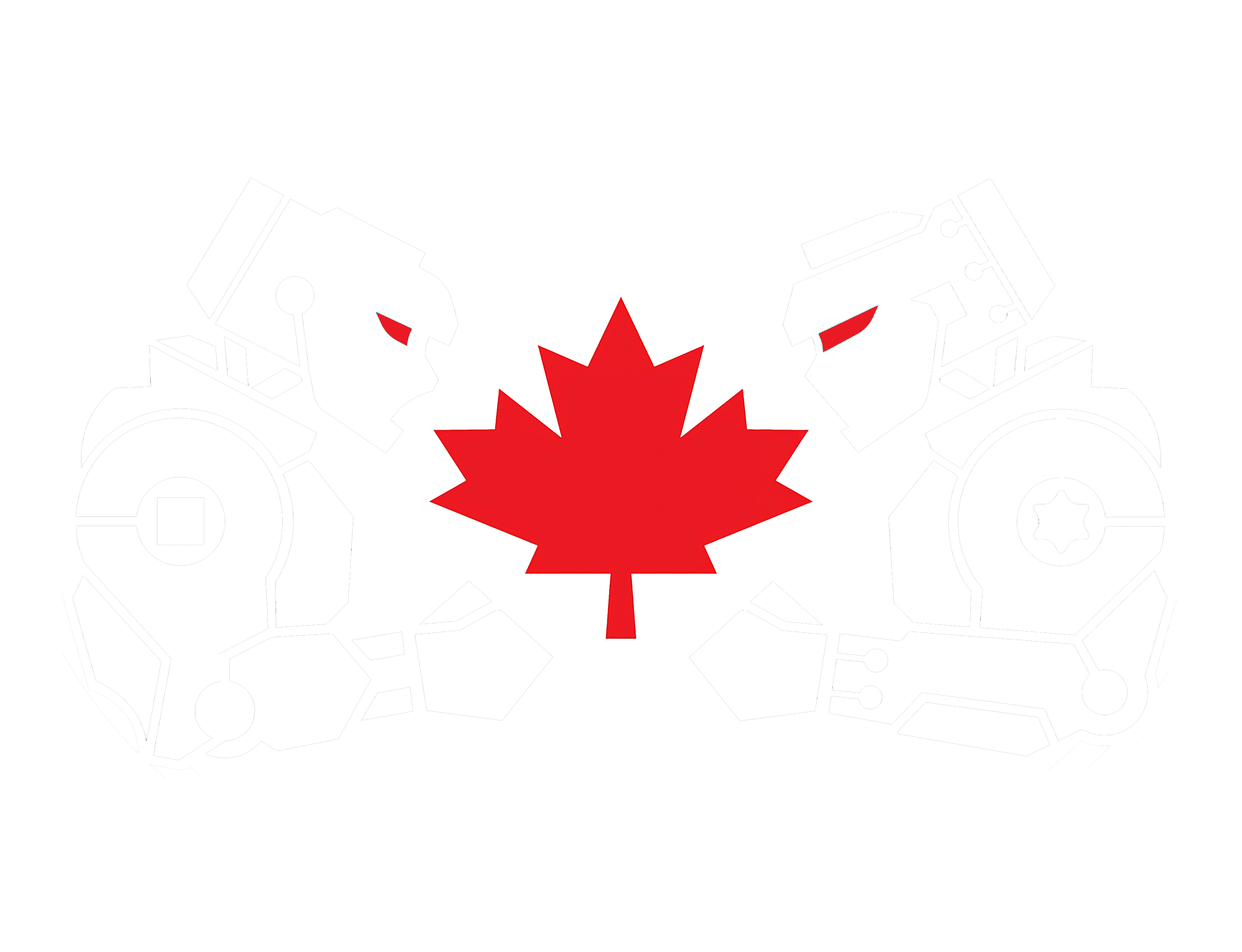 BotBrawl