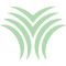 Bracken