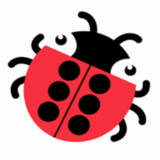 BrailleBug