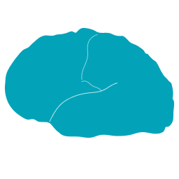BrainTesting