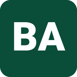BrainAccess