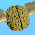 Brainder