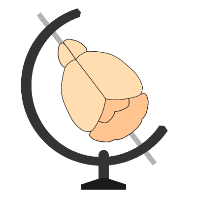 BrainGlobe