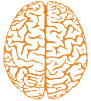 BrainMapper