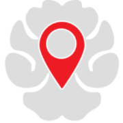 Brain Mapping Solutions