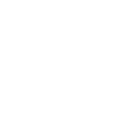 BrainScan