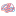 Brainsights