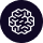 Brainster