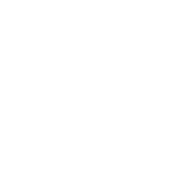 Branch Tools