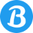 BRICs Practice Management
