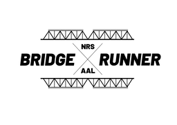 BridgeRunner