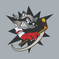 Bridgewater Jr Bandits