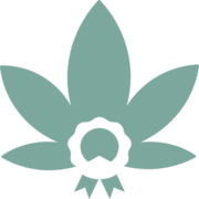 Bright Buds Training