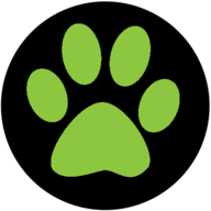 BringTheDog