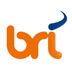 Brownrice Internet