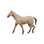 Horse Browser
