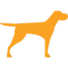 Bruji