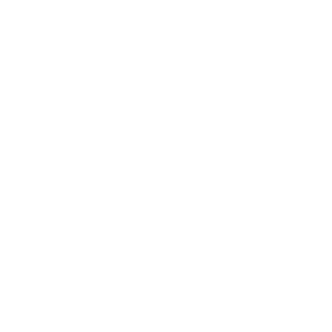 BSG Alliance