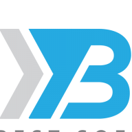 BSP Vision