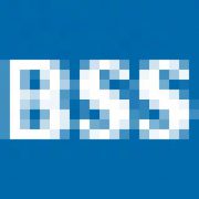 BSS