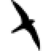 Black Swift Technologies