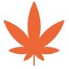 Budvue