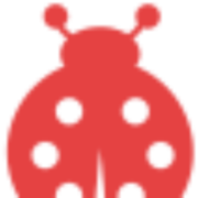 Bug Bounty
