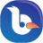 Bulbul Stream