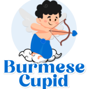 Burmese Cupid