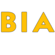 Business Idea AI